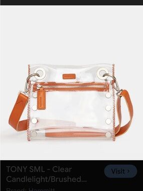Hammitt Clear Bag